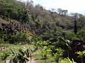 2003-04 martinique 157